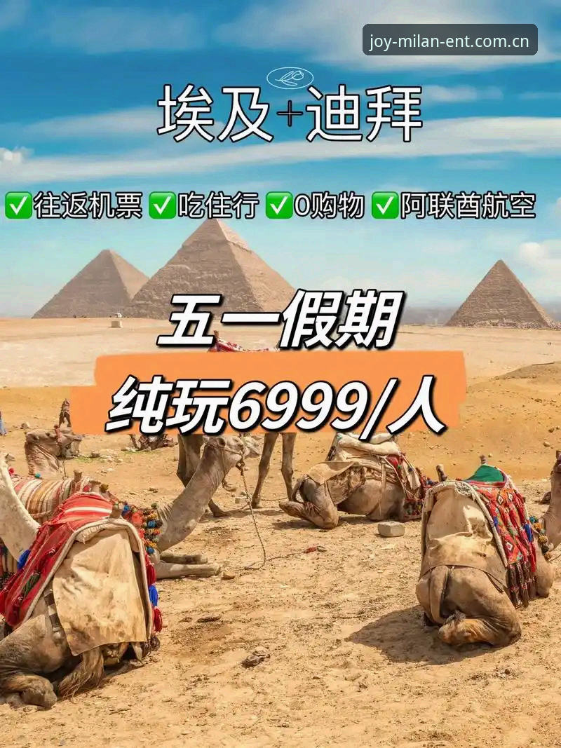 3大核心维度对比米兰娱乐手机版，新手必看的5个关键差异